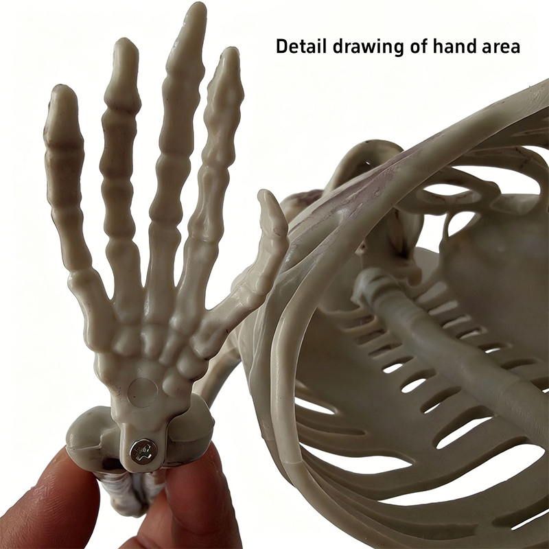 Horror Half Skeleton Skull Orn - Halloween Skeleton Decoration recension och pris